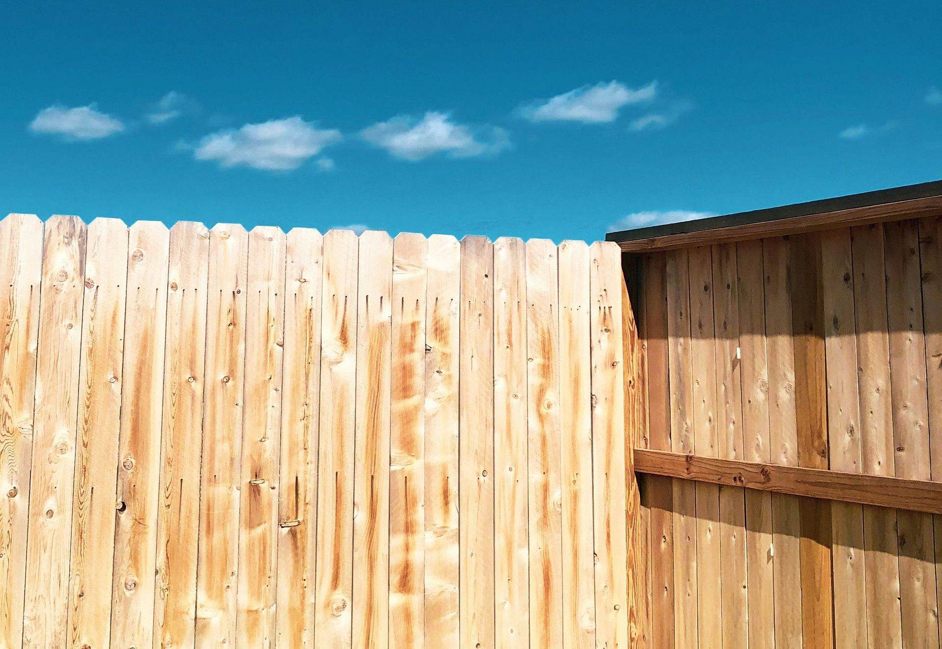 brown wooden fence under blue sky during daytime